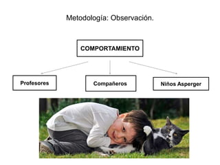 Metodología: Observación.



                 COMPORTAMIENTO




Profesores          Compañeros           Niños Asperger
 