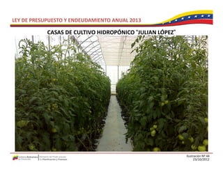 LEY DE PRESUPUESTO Y ENDEUDAMIENTO ANUAL 2013

            CASAS DE CULTIVO HIDROPÓNICO “JULIAN LÓPEZ”
            CASAS DE CULTIVO HIDROPÓNICO  JULIAN LÓPEZ




                                                          Ilustración Nº 44
                                                                23/10/2012
 