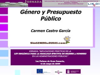 Género y Presupuesto Público Carmen Castro García JORNADA: “IMPLICACIONES PRÁCTICAS DE LA   LEY ORGÁNICA PARA LA IGUALDAD EFECTIVA DE MUJERES y HOMBRES   EN LAS ADMINISTRACIONES PÚBLICAS ”   Las Palmas de Gran Canaria,  14 de mayo de 2009 