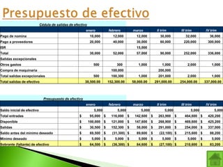 Cédula de salidas de efectivo
enero febrero marzo II trim III trim IV trim
Pago de nomina 10,000 12,000 12,000 30,000 32,000 36,000
Pago a proveedores 20,000 40,000 30,000 60,000 220,000 300,000
ISR 15,000
Total 30,000 52,000 57,000 90,000 252,000 336,000
Salidas excepcionales
Otros gastos 500 300 1,000 1,000 2,000 1,000
Compra de maquinaria 100,000 200,000
Total salidas excepcionales 500 100,300 1,000 201,000 2,000 1,000
Total salidas de efectivo 30,500.00 152,300.00 58,000.00 291,000.00 254,000.00 337,000.00
Presupuesto de efectivo
enero febrero marzo II trim III trim IV trim
Saldo inicial de efectivo 5,000 5,000 5,000 5,000 5,000 5,000
Total entradas $ 95,000 $ 116,000 $ 142,600 $ 263,900 $ 464,600 $ 420,200
Disponible $ 100,000 $ 121,000 $ 147,600 $ 268,900 $ 469,600 $ 425,200
Salidas $ 30,500 $ 152,300 $ 58,000 $ 291,000 $ 254,000 $ 337,000
Saldo antes del mínimo deseado $ 69,500 $ (31,300) $ 89,600 $ (22,100) $ 215,600 $ 88,200
Mínimo deseado $ 5,000 $ 5,000 $ 5,000 $ 5,000 $ 5,000 $ 5,000
Sobrante (faltante) de efectivo $ 64,500 $ (36,300) $ 84,600 $ (27,100) $ 210,600 $ 83,200
 