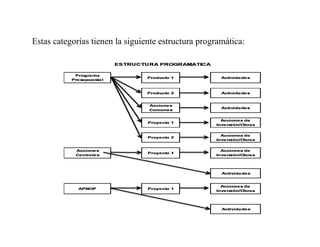 Estas categorías tienen la siguiente estructura programática:
 