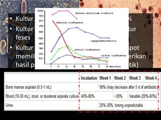 • Kultur Feses memiliki sensitivitas < 50 %
• Kultur urine lebih rendah dari pada kultur
feses
• Kultur punch-biopsy pada ruam / rose spot
memiliki sensitifitas 63% (dapat memberikan
hasil posotif setelah pemakaian antibiotik)
 