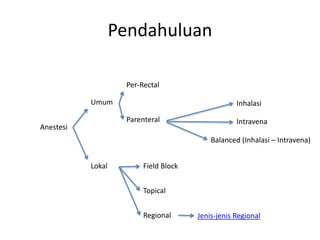 Pendahuluan
Anestesi
Umum
Lokal
Inhalasi
Intravena
Balanced (Inhalasi – Intravena)
Field Block
Topical
Regional Jenis-jenis Regional
Per-Rectal
Parenteral
 