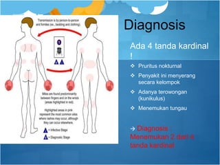 Ada 4 tanda kardinal
!
 Pruritus nokturnal
 Penyakit ini menyerang
secara kelompok
 Adanya terowongan
(kunikulus)
 Menemukan tungau
 Diagnosis :
Menemukan 2 dari 4
tanda kardinal
Diagnosis
 