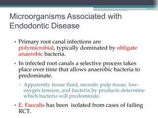 Microorganisms Associated with
Endodontic Disease
 • Primary root canal infections are
   polymicrobial, typically dominated by obligate
   anaerobic bacteria.
 • In infected root canals a selective process takes
   place over time that allows anaerobic bacteria to
   predominate.
   ▫ Apparently tissue fluid, necrotic pulp tissue, low-
     oxygen tension, and bacteria by products determine
     which bacteria will predominate.
 • E. Faecalis has been isolated from cases of failing
   RCT.
 
