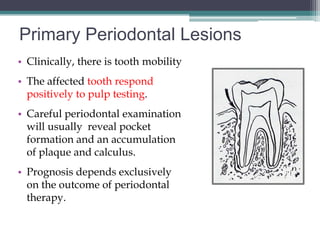 Primary Periodontal Lesions
• Clinically, there is tooth mobility
• The affected tooth respond
  positively to pulp testing.
• Careful periodontal examination
  will usually reveal pocket
  formation and an accumulation
  of plaque and calculus.
• Prognosis depends exclusively
  on the outcome of periodontal
  therapy.
 