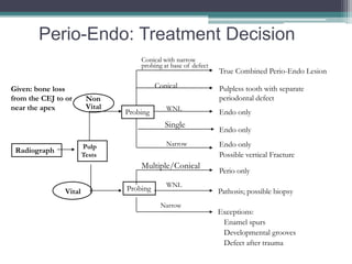 Perio-Endo: Treatment Decision
                                    Conical with narrow
                                    probing at base of defect
                                                                True Combined Perio-Endo Lesion

Given: bone loss                          Conical               Pulpless tooth with separate
from the CEJ to or      Non                                     periodontal defect
near the apex           Vital                WNL
                                Probing                         Endo only
                                             Single
                                                                Endo only

                       Pulp                  Narrow             Endo only
 Radiograph
                       Tests                                    Possible vertical Fracture
                                    Multiple/Conical
                                                                Perio only
                                             WNL
               Vital            Probing                         Pathosis; possible biopsy
                                           Narrow
                                                                Exceptions:
                                                                 Enamel spurs
                                                                 Developmental grooves
                                                                 Defect after trauma
 