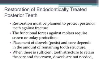 Restoration of Endodontically Treated
Posterior Teeth
  • Restoration must be planned to protect posterior
    teeth against fracture.
  • The functional forces against molars require
    crown or onlay protection.
  • Placement of dowels (posts) and core depends
    in the amount of remaining tooth structure.
  • When there is sufficient tooth structure to retain
    the core and the crown, dowels are not needed.
 