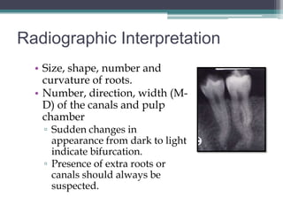 Radiographic Interpretation
  • Size, shape, number and
    curvature of roots.
  • Number, direction, width (M-
    D) of the canals and pulp
    chamber
   ▫ Sudden changes in
     appearance from dark to light
     indicate bifurcation.
   ▫ Presence of extra roots or
     canals should always be
     suspected.
 