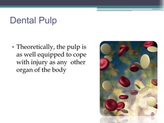 Dental Pulp

• Theoretically, the pulp is
  as well equipped to cope
  with injury as any other
  organ of the body
 