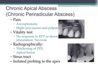Chronic Apical Abscess
(Chronic Periradicular Abscess)
  • Pain
    ▫ Asymptomatic
    ▫ Slight percussion and palpation
  • Vitality test
    ▫ No response to EPT or thermal
      stimulation: Necrosis
  • Radiographically:
    ▫ Thickening of PDL
    ▫ Apical lesion
  • Sinus tract
  • Isolated probing to the apex
 