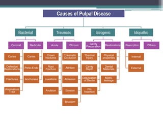 Causes of Pulpal Disease


             Bacterial                      Traumatic                      Iatrogenic                 Idiopathic

     Coronal        Radicular       Acute           Chronic        Cavity        Restorations   Resorption     Others
                                                                 Preparation


  Caries          Caries          Crown         Traumatic      Thermal          Physical
                                fractures       Occlusion       Injury         properties           Internal


 Defective      Perio-Endo        Root           Attrition      Cavity           Dental
Restorations                    Fracture                        Depth           Materials           External



 Fractures       Anchoress      Luxations        Abrasion     Desiccation        Micro-
                                                               of Dentin        leakage


Anomalous                       Avulsion         Erosion          Pin
  Tract                                                        Insertion


                                                 Bruxisim
 