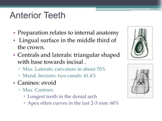 Anterior Teeth
• Preparation relates to internal anatomy
• Lingual surface in the middle third of
  the crown.
• Centrals and laterals: triangular shaped
  with base towards incisal .
  ▫ Max. Laterals: curvature in about 70%
  ▫ Mand. Incisors: two canals: 41.4%
• Canines: ovoid
  ▫ Max. Canines:
     Longest tooth in the dental arch
     Apex often curves in the last 2-3 mm: 60%
 