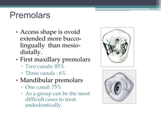 Premolars
 • Access shape is ovoid
   extended more bucco-
   lingually than mesio-
   distally.
 • First maxillary premolars
  ▫ Two canals: 85%
  ▫ Three canals : 6%
 • Mandibular premolars
  ▫ One canal: 75%
  ▫ As a group can be the most
    difficult cases to treat
    endodontically.
 