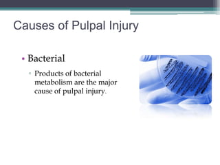 Causes of Pulpal Injury

 • Bacterial
  ▫ Products of bacterial
    metabolism are the major
    cause of pulpal injury.
 