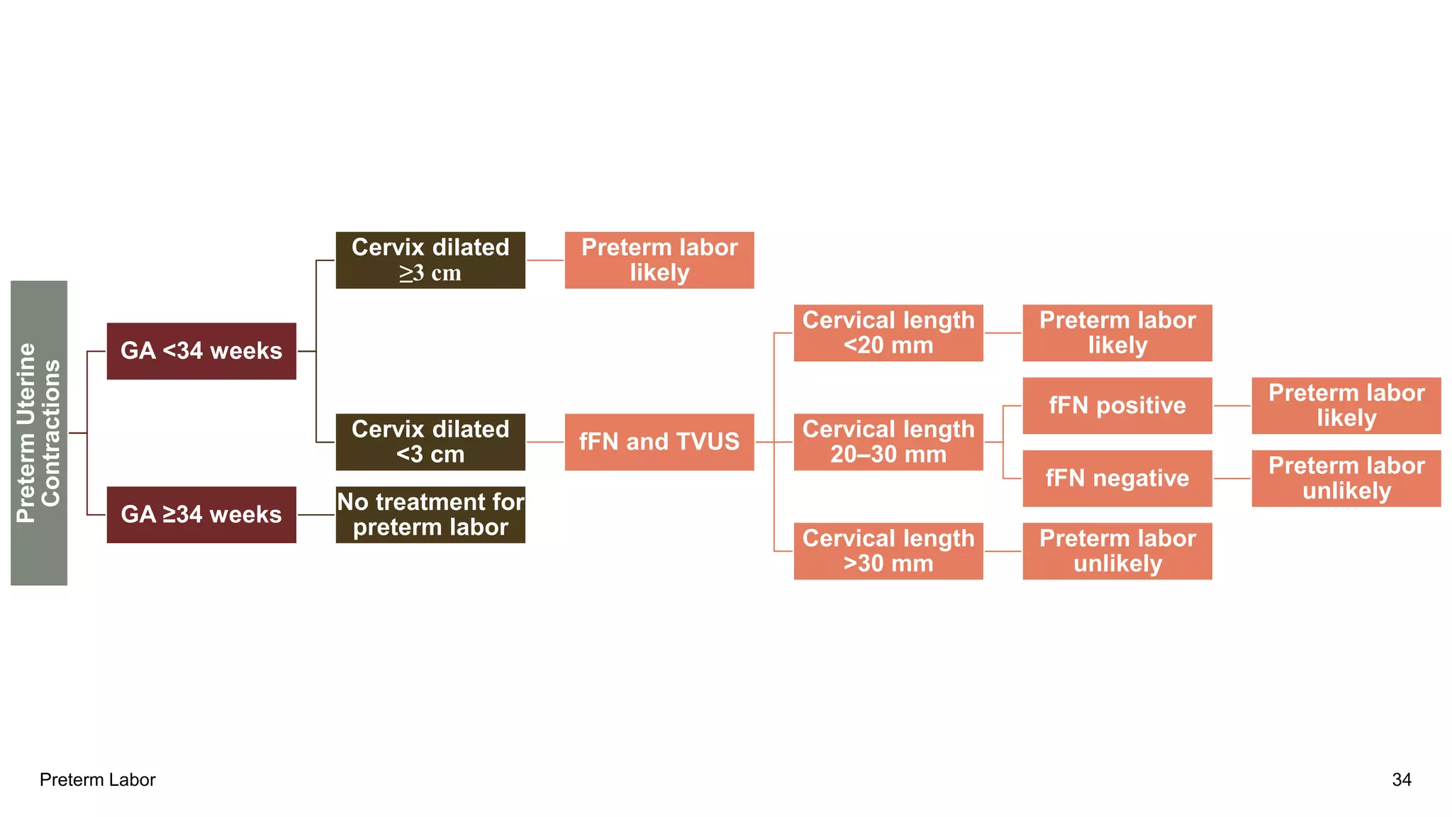 Preterm Infographic Preterm Birth.pptx