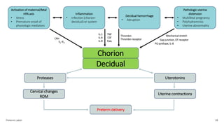 Preterm Labor 18
Activation of maternal/fetal
HPA axis
• Stress
• Premature onset of
physiologic mediators
Inflammation
• Infection (chorion-
decidual) or system
Decidual hemorrhage
• Abruption
Pathologic uterine
distension
• Multifetal pregnancy
• Polyhydramnios
• Uterine abnormality
Chorion
Decidual
CRH
E1–E3
IL-1
IL-6
IL-8
TNF
CSF
FasL
Thrombin
Thrombin receptor
Mechanical stretch
Gap junction, OT receptor
PG synthase, IL-8
Uterotonins
Proteases
Cervical changes
ROM
Uterine contractions
Preterm delivery
 