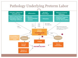 Premature Decidual Activation
Campbell S. Ultrasound Obstet Gynecol 2011
• Occult upper genital tract infection
• Release of proinflammatory cytokines in the cervix
• Release of proinflammatory cytokines at the
choriodecidual interface
•  Cervical softening and effacement
 