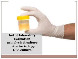 Initial laboratory
evaluation
urinalysis & culture
urine toxicology
GBS culture
 