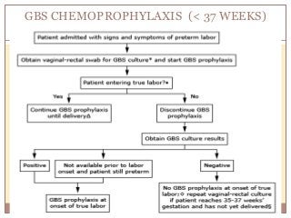 GBS CHEMOPROPHYLAXIS (< 37 WEEKS)
 