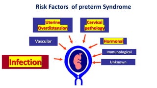 Risk Factors of preterm Syndrome
Uterine
Overdistension
Vascular
Infection
Cervical
pathology
Hormonal
Immunological
© VR RR MM
Unknown
 