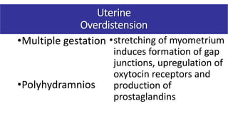 •Multiple gestation
•Polyhydramnios
•stretching of myometrium
induces formation of gap
junctions, upregulation of
oxytocin receptors and
production of
prostaglandins
Uterine
Overdistension
 