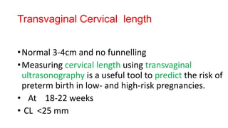 Transvaginal Cervical length
•Normal 3-4cm and no funnelling
•Measuring cervical length using transvaginal
ultrasonography is a useful tool to predict the risk of
preterm birth in low- and high-risk pregnancies.
• At 18-22 weeks
• CL <25 mm
 