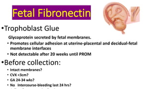 Fetal Fibronectin
•Trophoblast Glue
Glycoprotein secreted by fetal membranes.
• Promotes cellular adhesion at uterine-placental and decidual-fetal
membrane interfaces
• Not detectable after 20 weeks until PROM
•Before collection:
• Intact membranes?
• CVX <3cm?
• GA 24-34 wks?
• No Intercourse-bleeding last 24 hrs?
 