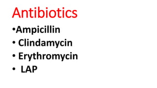 Antibiotics
•Ampicillin
• Clindamycin
• Erythromycin
• LAP
 