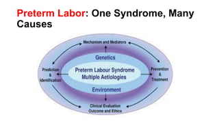 Preterm Labor: One Syndrome, Many
Causes
 