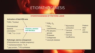 ETIOPATHOGENESIS
 
