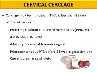 • Cerclage may be indicated if TVCL is less than 25 mm
before 24 weeks if:
– Preterm prelabour rupture of membranes (PPROM) in
a previous pregnancy
– A history of cervical trauma/surgery
– Prior spontaneous PTB before 34 weeks gestation and
Current pregnancy singleton
CERVICAL CERCLAGE
 