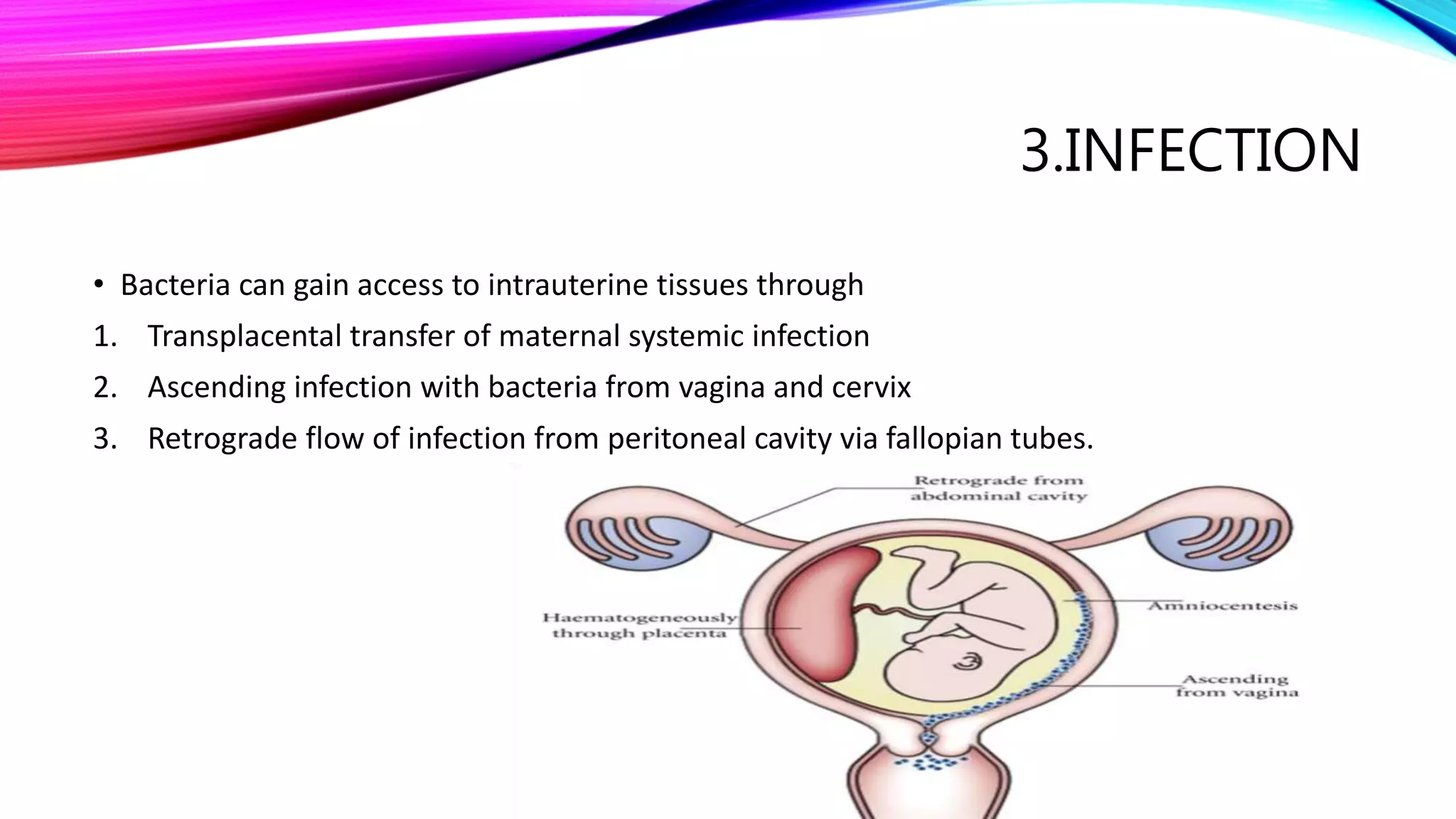3.INFECTION
• Bacteria can gain access to intrauterine tissues through
1. Transplacental transfer of maternal systemic infection
2. Ascending infection with bacteria from vagina and cervix
3. Retrograde flow of infection from peritoneal cavity via fallopian tubes.
 