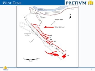 WEST ZONE




TSX:PVG     12
 