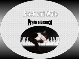Black and Write Preto e Branco 