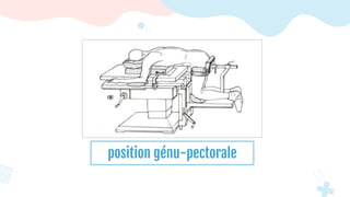 position génu-pectorale
 