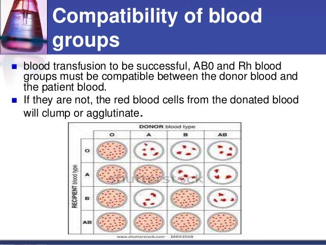 what is compatibility test in blood transfusion
