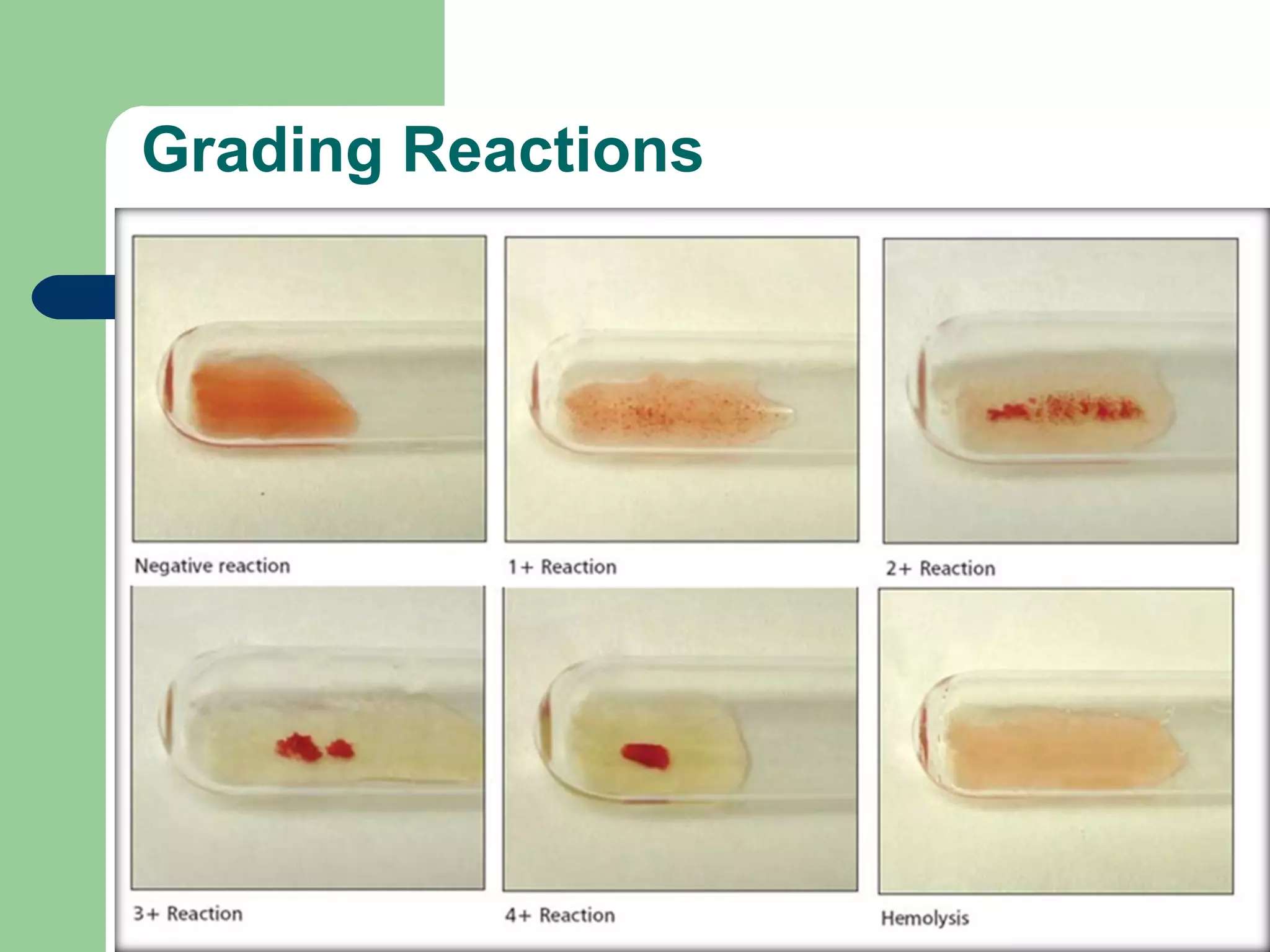 Grading Reactions
 