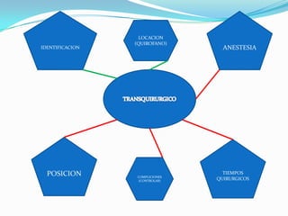 IDENTIFICACIONANESTESIALOCACION (QUIROFANO)TRANSQUIRURGICOPOSICIONTIEMPOS QUIRURGICOSCOMPLICIONES (CONTROLAR)