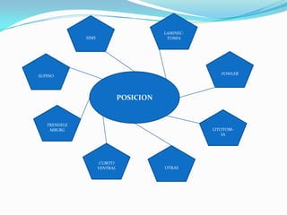 LAMINEC-TOMIASIMSFOWLERSUPINOPOSICIONTRENDELEMBURGLITOTOM-IACUBITO VENTRALOTRAS