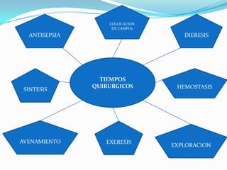 COLOCACION DE CAMPOsANTISEPSIADIERESISTIEMPOS QUIRURGICOSSINTESISHEMOSTASISAVENAMIENTOEXERESISEXPLORACION