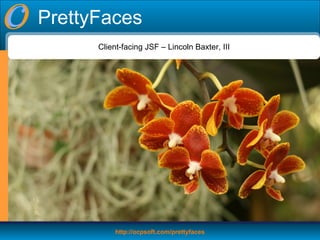 PrettyFaces Client-facing JSF – Lincoln Baxter, III 