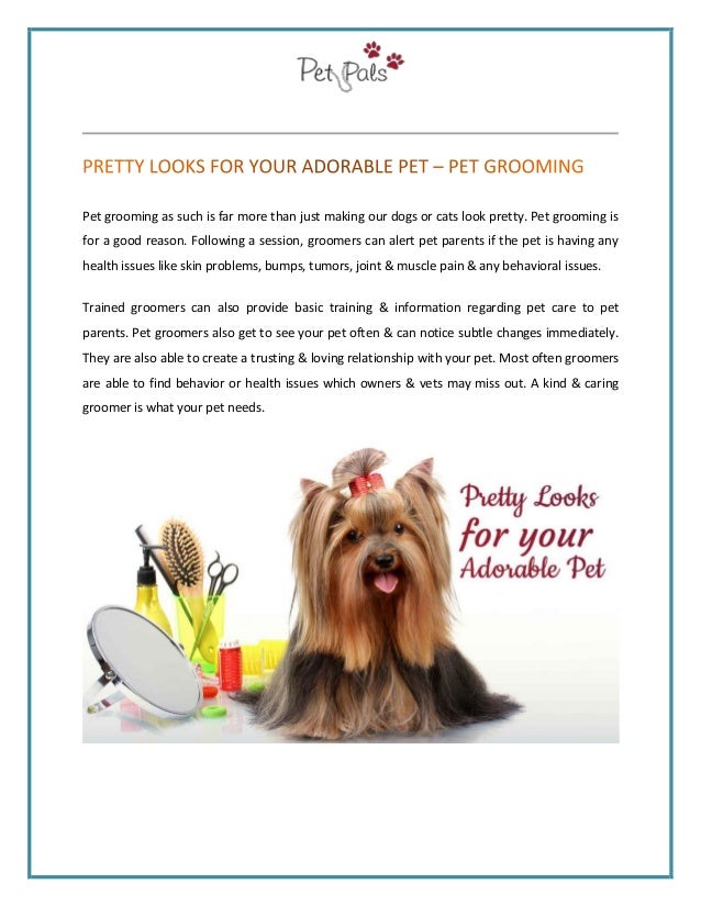 pet care grooming