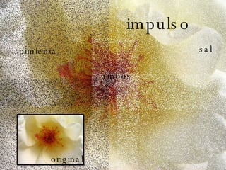 impulso sal pimienta ambos original 