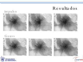 Resultados impulso Gauss 