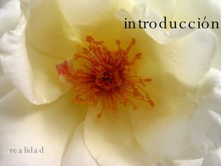 Introducción introducción realidad 