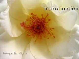 Introducción introducción fotografía digital 