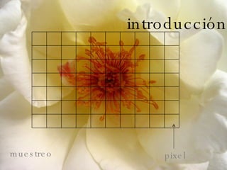 Introducción introducción muestreo pixel 