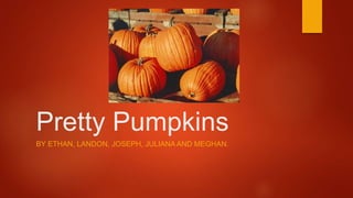 Pretty Pumpkins
BY ETHAN, LANDON, JOSEPH, JULIANA AND MEGHAN.
 