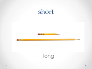 short
long
 